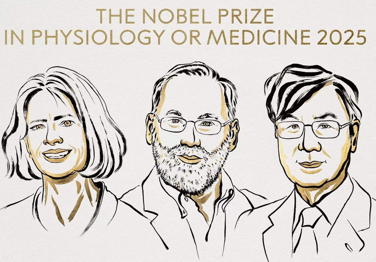 (Foto de ARCHIVO)

El Nobel de medicina premia Mary Brankov, Fred Ramstell y Shimon Sakaguchi por  la tolerancia inmune periférica



REMITIDA / HANDOUT por NOBEL

Fotografía remitida a medios de comunicación exclusivamente para ilustrar la noticia a la que hace referencia la imagen, y citando la procedencia de la imagen en la firma

01/1/1970