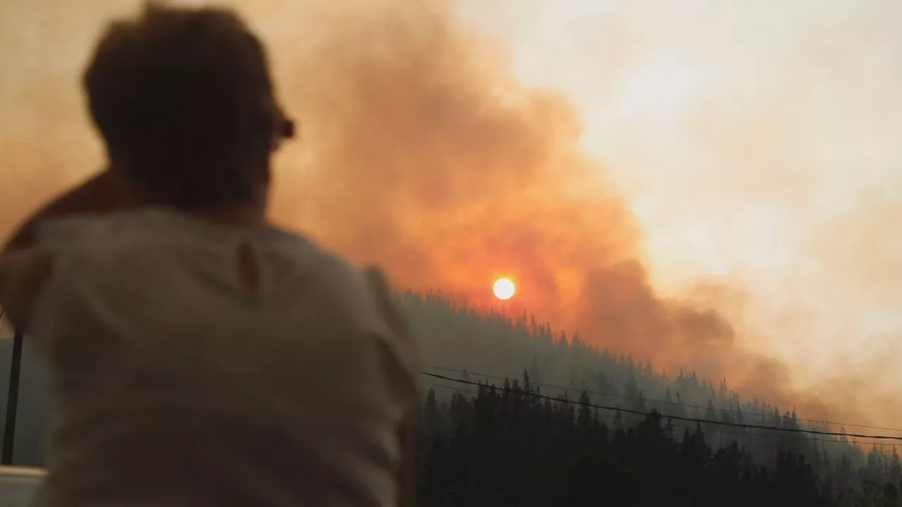 Galicia suma ya más de 95.000 hectáreas afectadas por los incendios forestales en agosto

A día de hoy, sólo quedan tres incendios activos de más de 20 hectáreas: dos en Ourense y uno en Lugo
