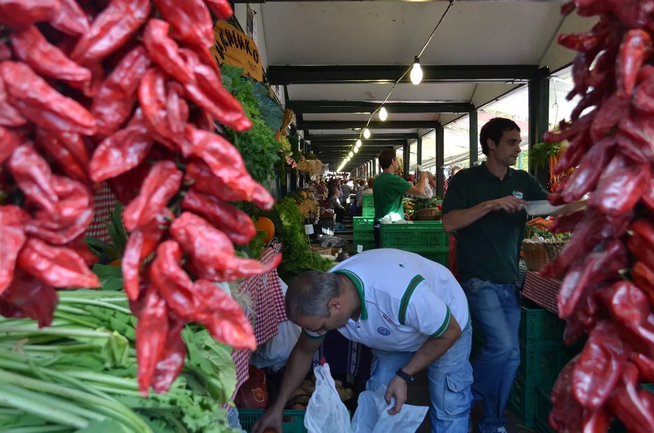 Foto: Leire Etxazarra
