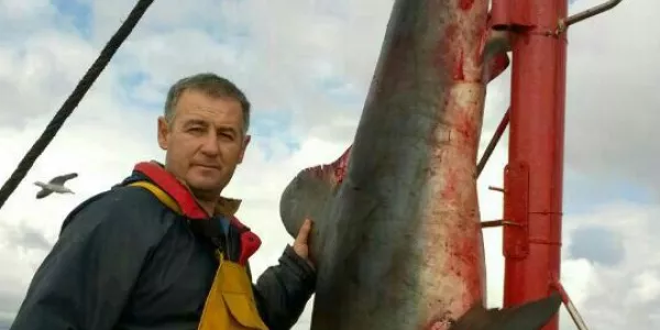 Capturan un tiburón en Lekeitio. Foto: Unai Belaustegi.
