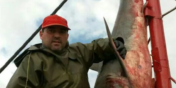 Capturan un tiburón en Lekeitio. Foto: Unai Belaustegi.