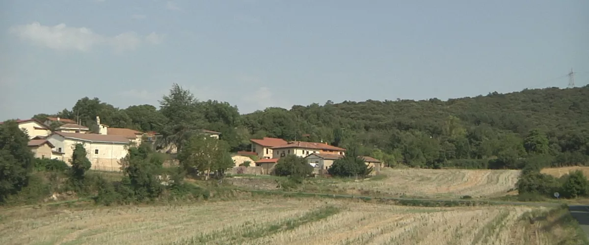 Araban, Erriberagoitiko hainbat herrik basoa garbitu eta segurtasun perimetroa egin dute etxebizitzen inguruan