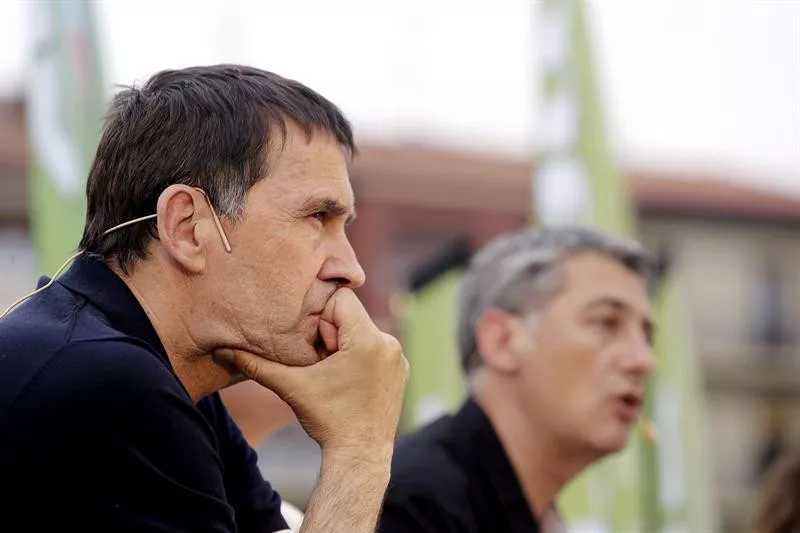 Arnaldo Otegi y Oskar Matute. EFE