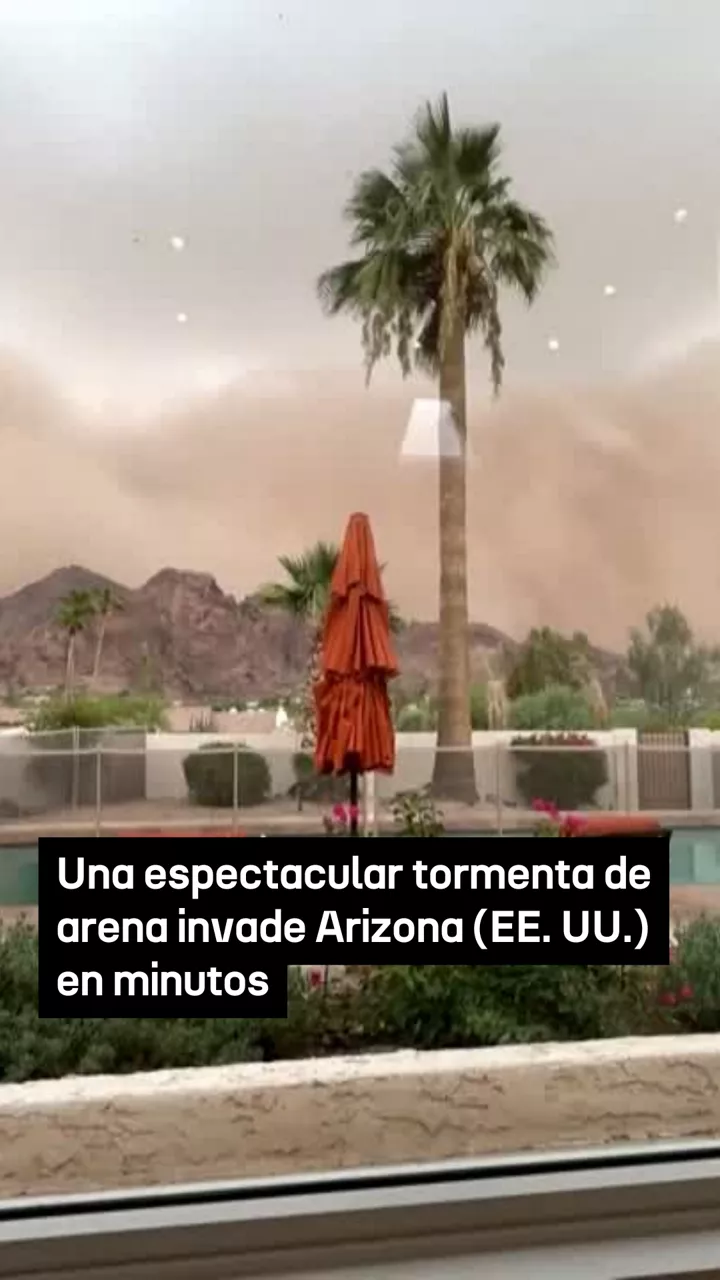 video feed poster