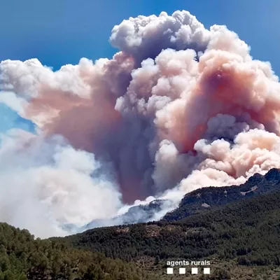 tarragona incendio sutea 