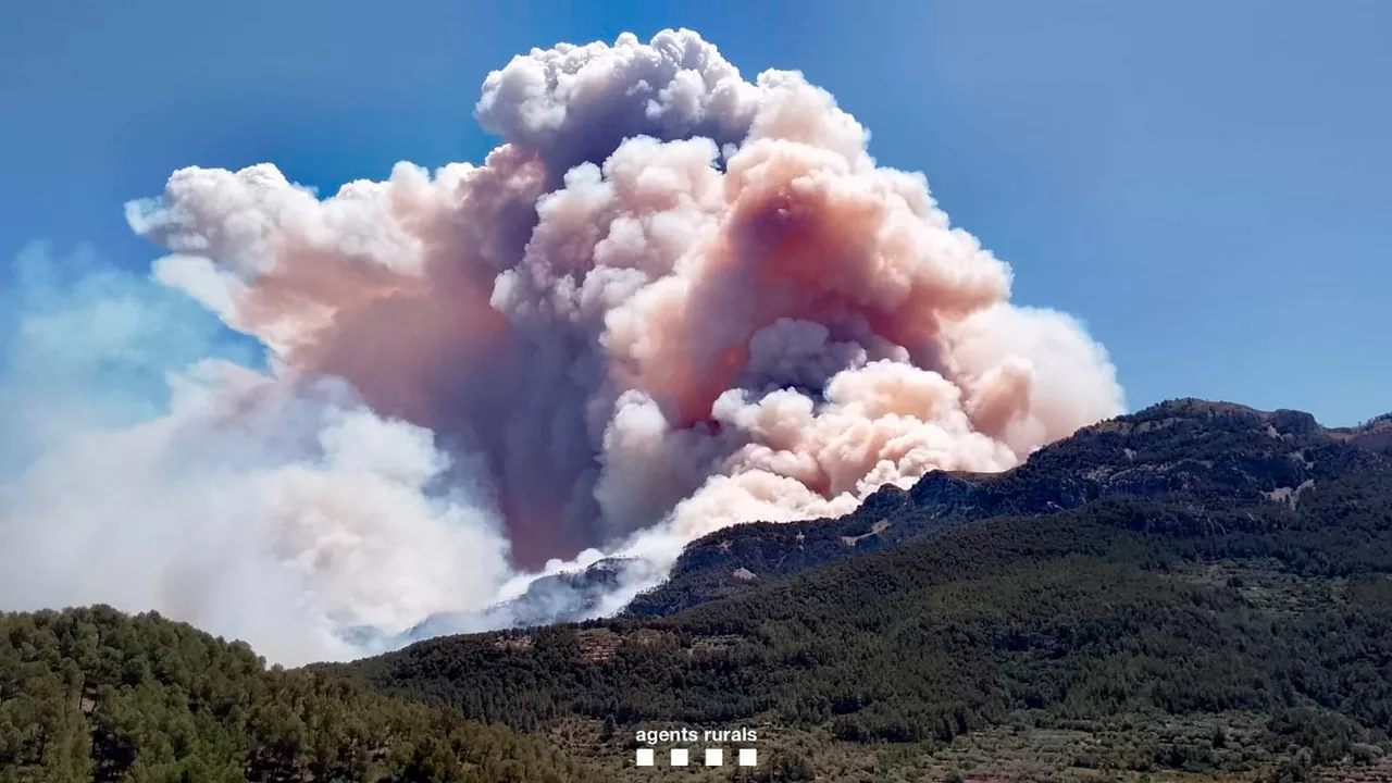 tarragona incendio sutea 