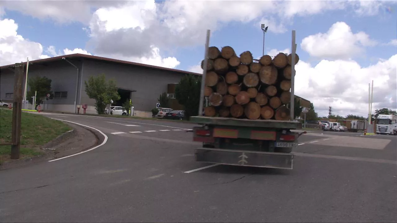 Muxikako (Bizkaia) Ebaki enpresaren sarrera. Irudia: EITB