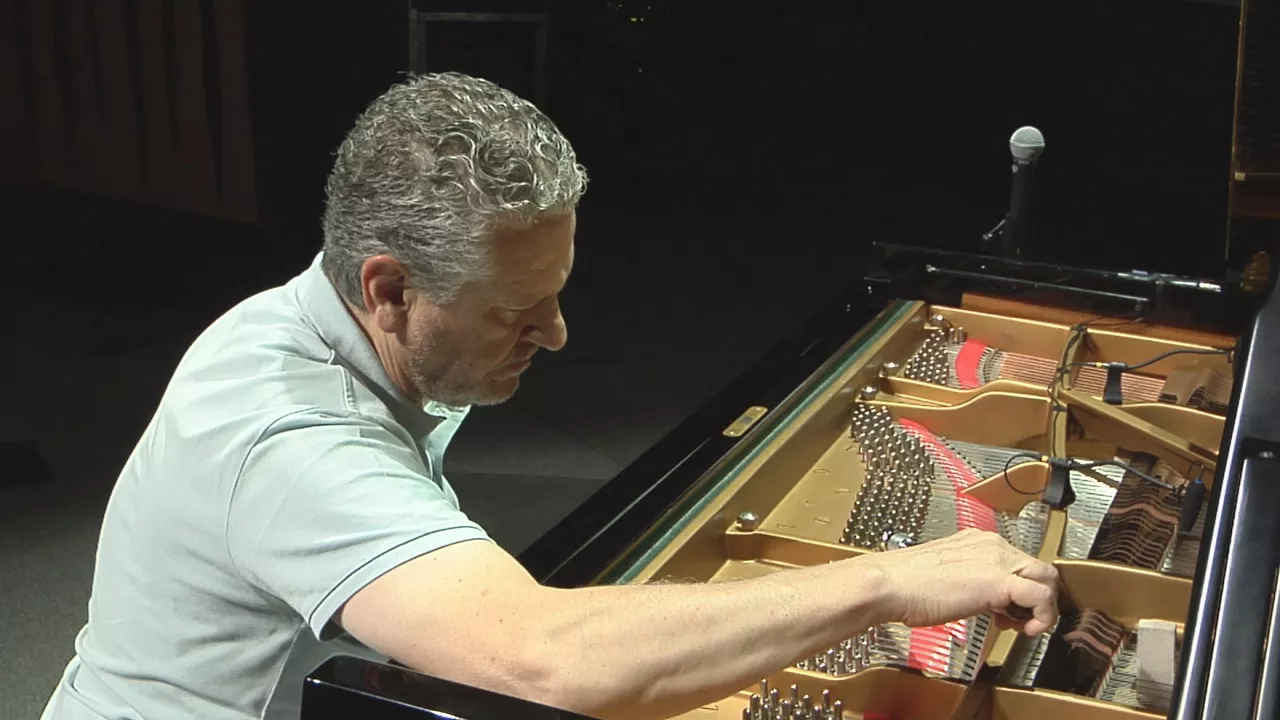 luis padilla afinador de pianos 