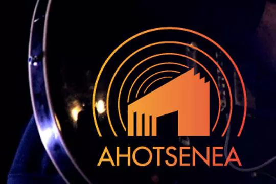 Ahotsenea