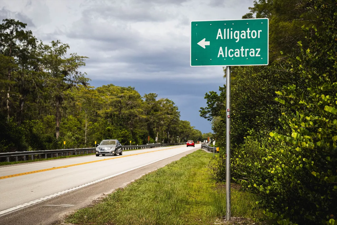 (Foto de ARCHIVO)

August 3, 2025, Ochopee, Florida, USA: A newly placed sign to mark the detention camp called 'Alligator Alcatraz'



Europa Press/Contacto/Dave Decker

03/8/2025