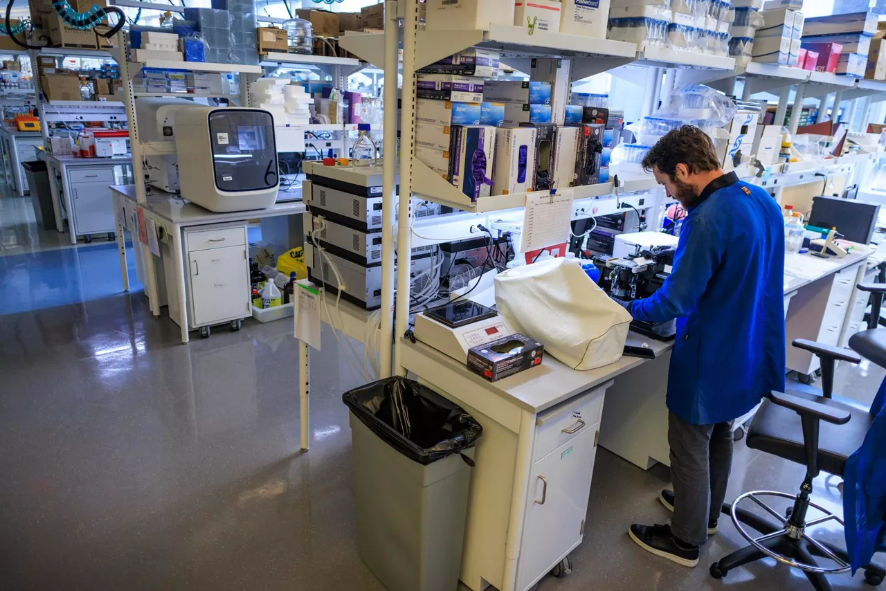 MIAMI (United States), 17/09/2025.- A laboratory technician procures rat brain samples in Doctor Tomas R. Guilarte's lab at Florida International University in Miami, Florida, USA, 17 September 2025. Florida International University is investigating Translocator Protein (TSPO), a biomarker of neuroinflammation, and its role in the progression of Alzheimer's disease. Early findings show that TSPO levels increase well before memory loss occurs, offering hope for early detection and improved treatments. EFE/EPA/CRISTOBAL HERRERA-ULASHKEVICH
