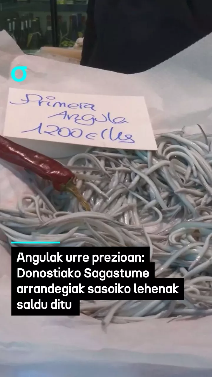 Donostiako Sagastume arrandegiak denboraldiko lehen angulak jarri ditu salgai