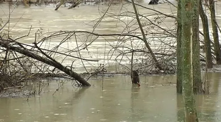 Arga ibaia, Iruñea parean. Argazkia: EiTB