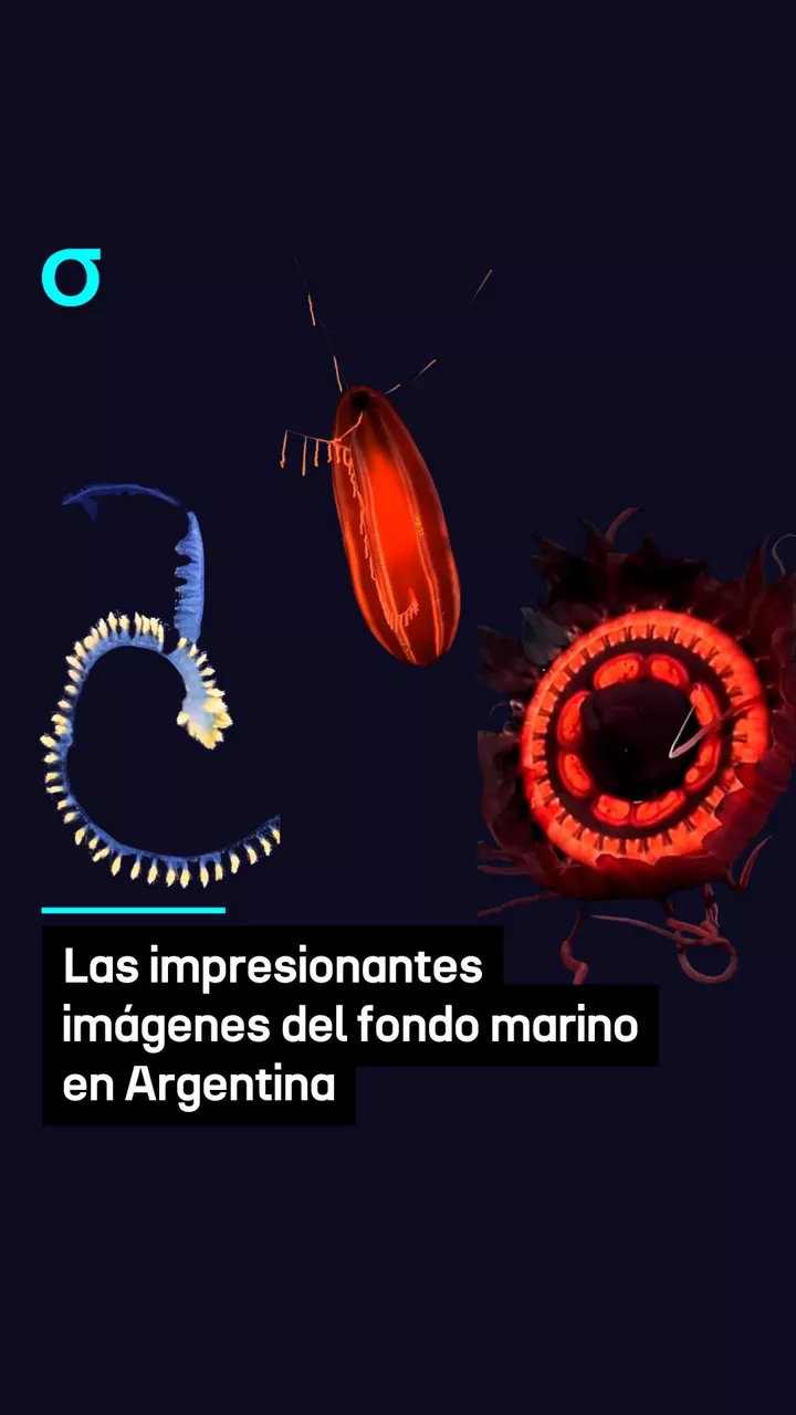 video feed poster