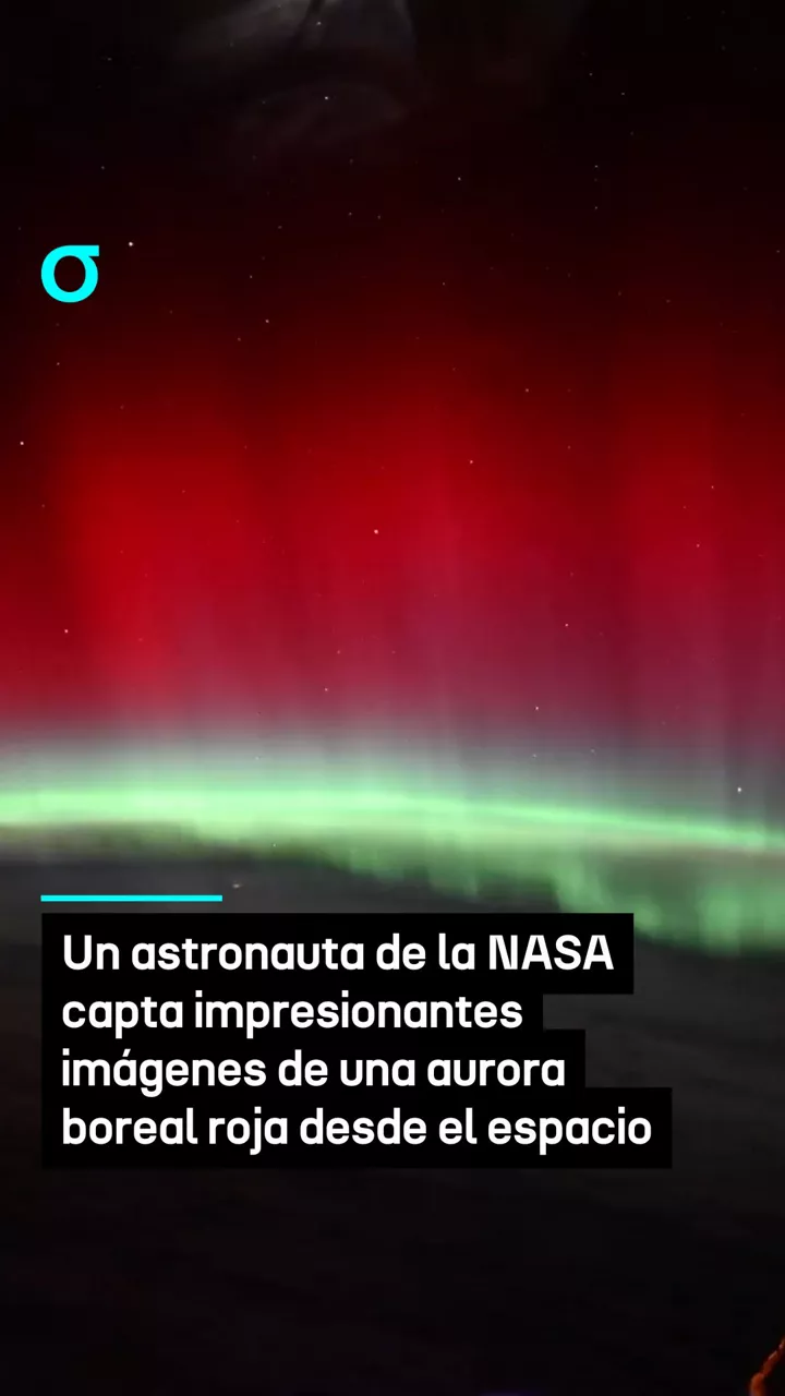 video feed poster