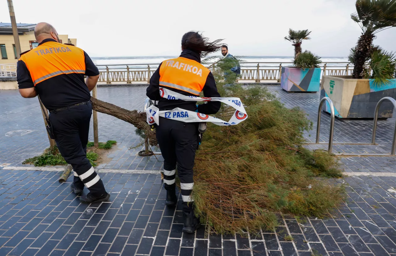GRAFCAV5625. SAN SEBASTIÁN (ESPAÑA), 23/10/2025.- Los efectos de la borrasca 'Benjamin' se hacen notar este jueves en San Sebastián, donde las fuertes rachas de viento de hasta 146 kilómetros han provocado la caída de árboles y ramas, han desplazado mobiliario urbano, y obligado a cerrar parques y paseos marítimos y a desviar tres vuelos. EFE/Juan Herrero.
