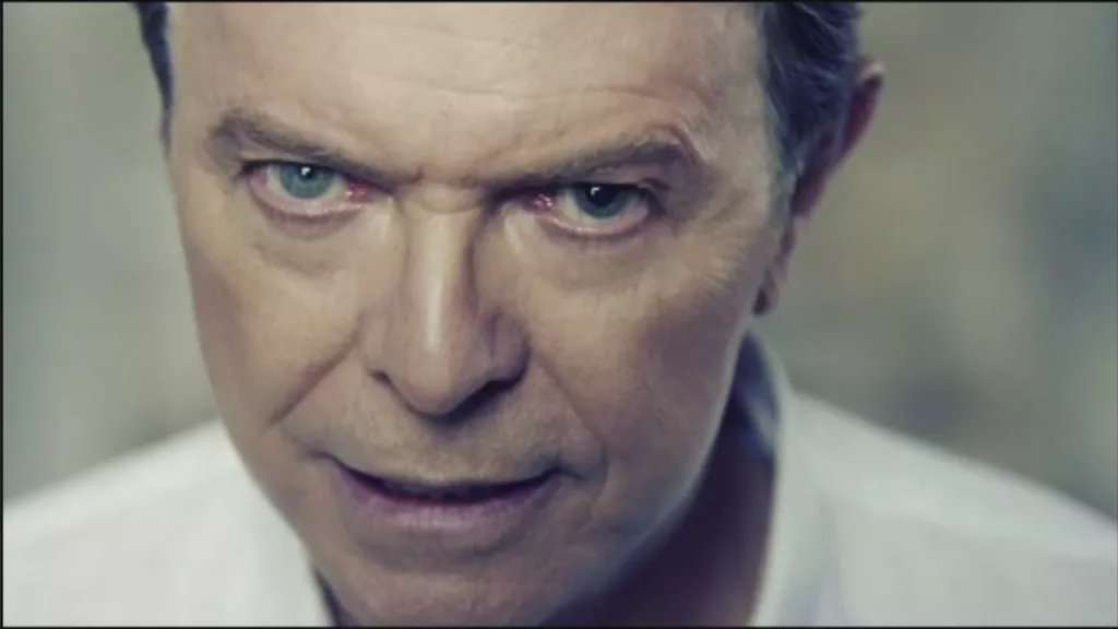 MAM-eko argazkia: bowie_