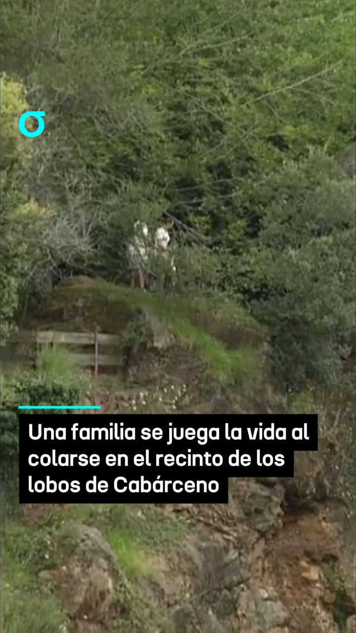 video feed poster