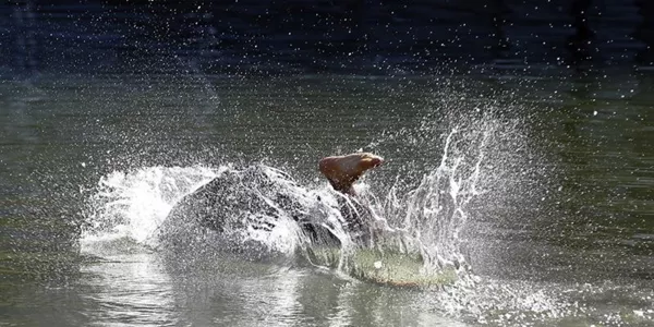 Un niño se refresca en Pamplona. Foto: EFE