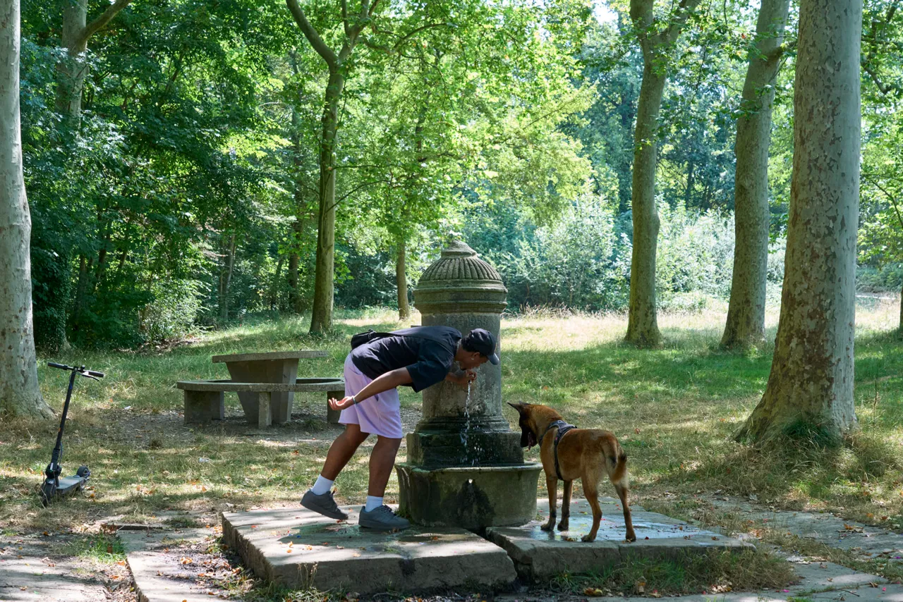 GRAFCAV1417. VITORIA, 11/08/2025.- Un hombre y su perro se refrescan este lunes en el parque de Olarizu del anillo verde de Vitoria en una jornada en la que el Departamento de Seguridad del Gobierno Vasco va a activar mañana martes en toda Euskadi una alerta naranja por las altas temperaturas que se están registrando en esta ola de calor. EFE/ L. Rico
