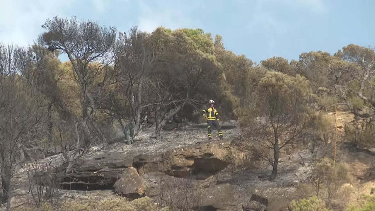 Incendio Carcastillo Sutea Zarragaztelu eitb
