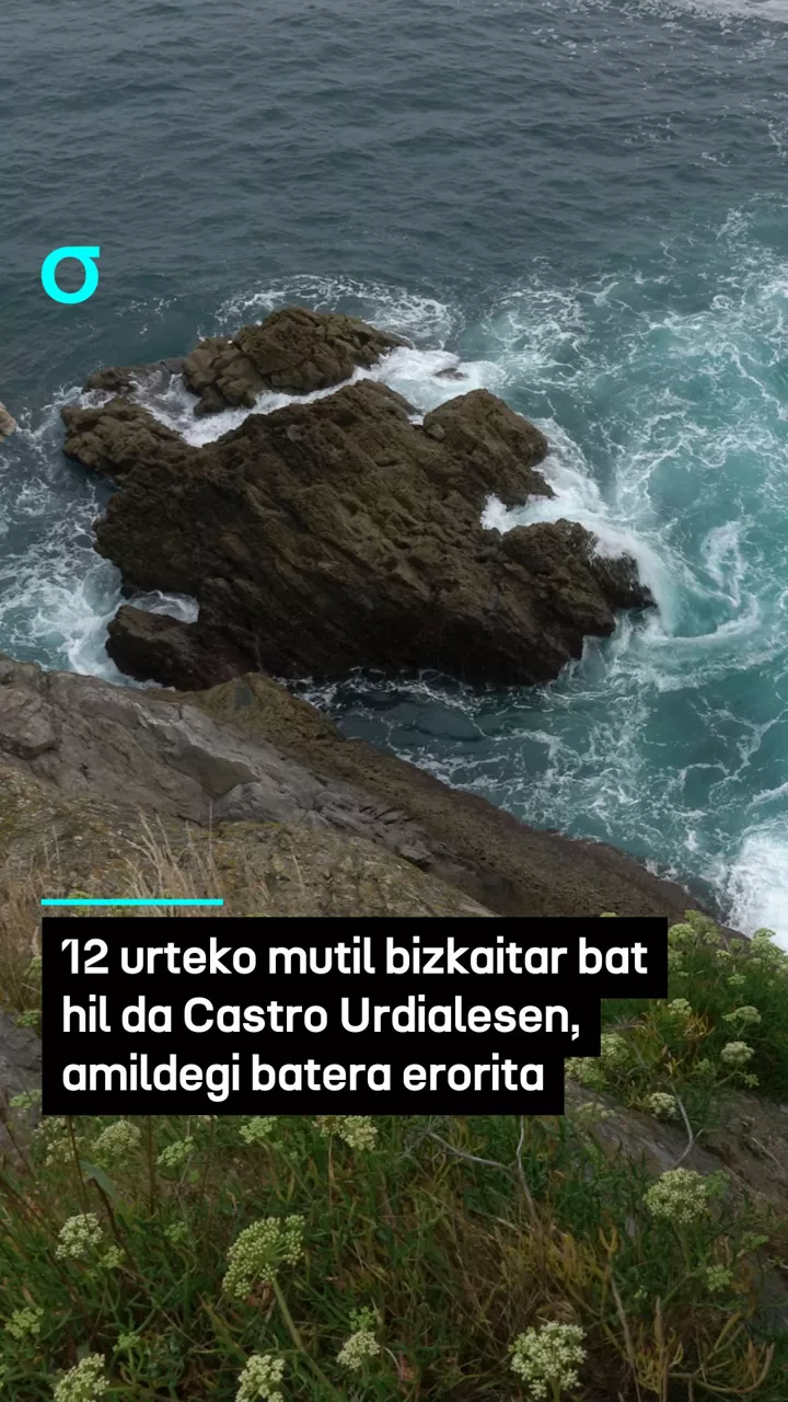video feed poster