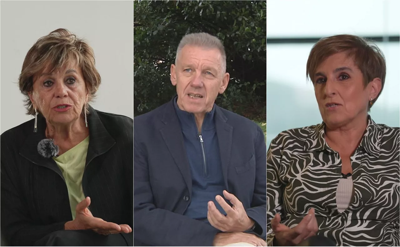 Josune Aristondo Ludger Mees Maite Ubiria