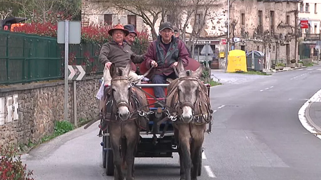 De Llodio a Huelva en carro de mulas