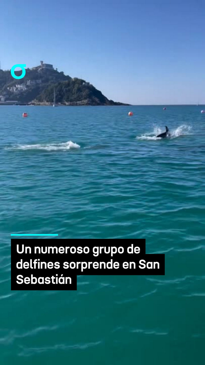 video feed poster