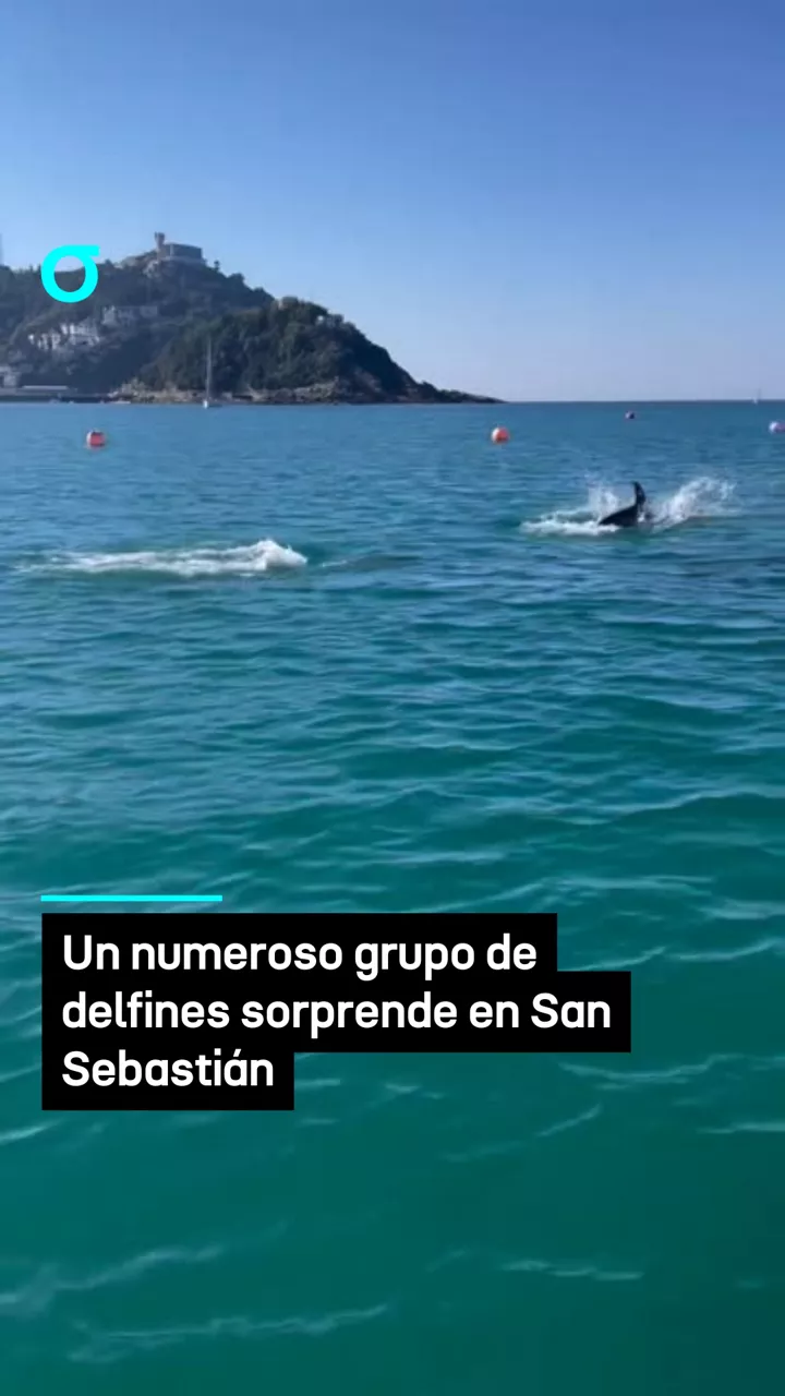video feed poster