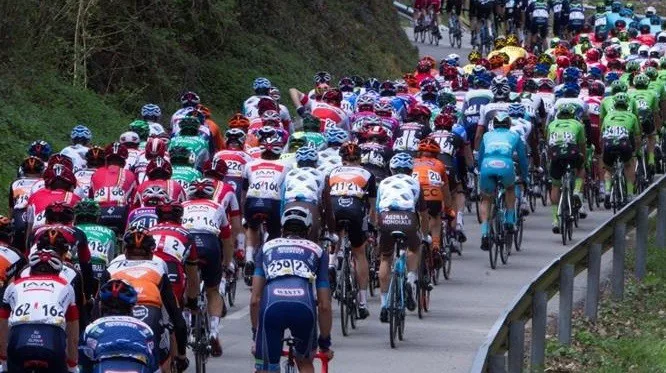 Peloton ciclistas dorsales general