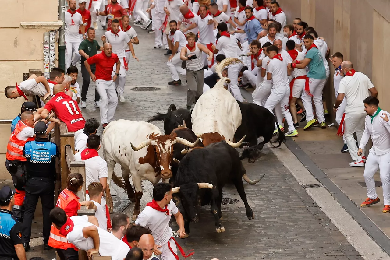 PAMPLONA, 07/07/2025.- Uno de los toros de la ganadería gaditana de Fuente Ymbro cae durante el primer encierro de los Sanfermines 2025, este lunes en Pamplona. EFE/ Villar López
