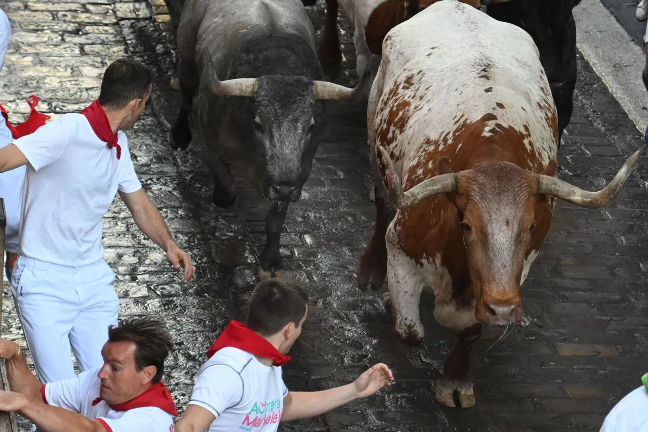 PAMPLONA, 12/07/2025.- Los mozos son perseguidos por los toros de la ganadería de José Escolar en el sexto encierro de los Sanfermines, este sábado en Pamplona. EFE/José Luis Larrión
