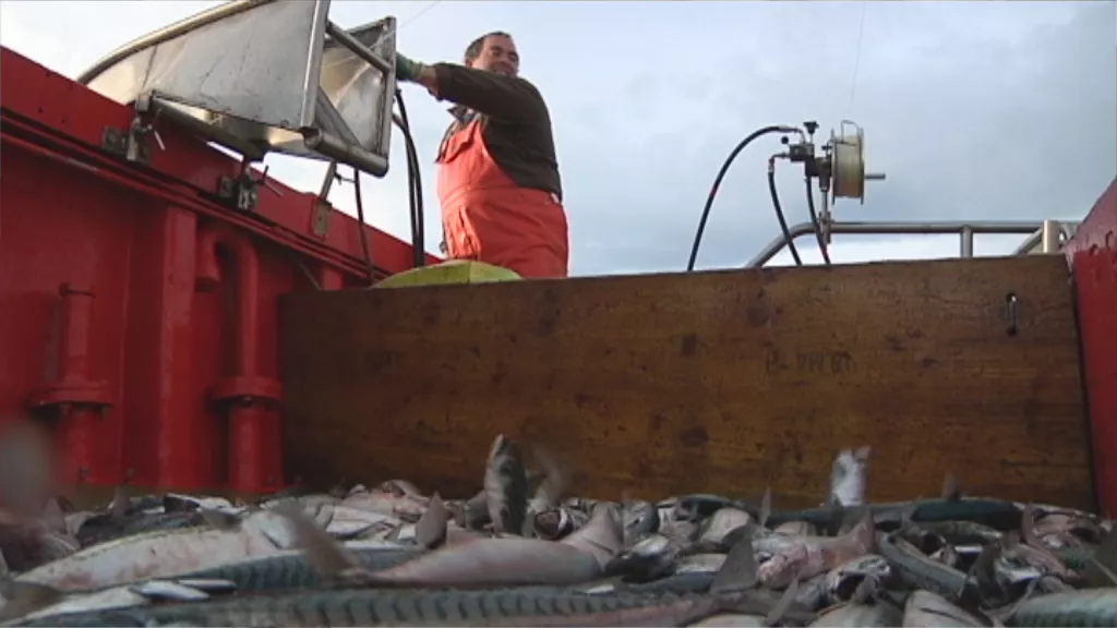 MAM-eko argazkia: europa-pesca_