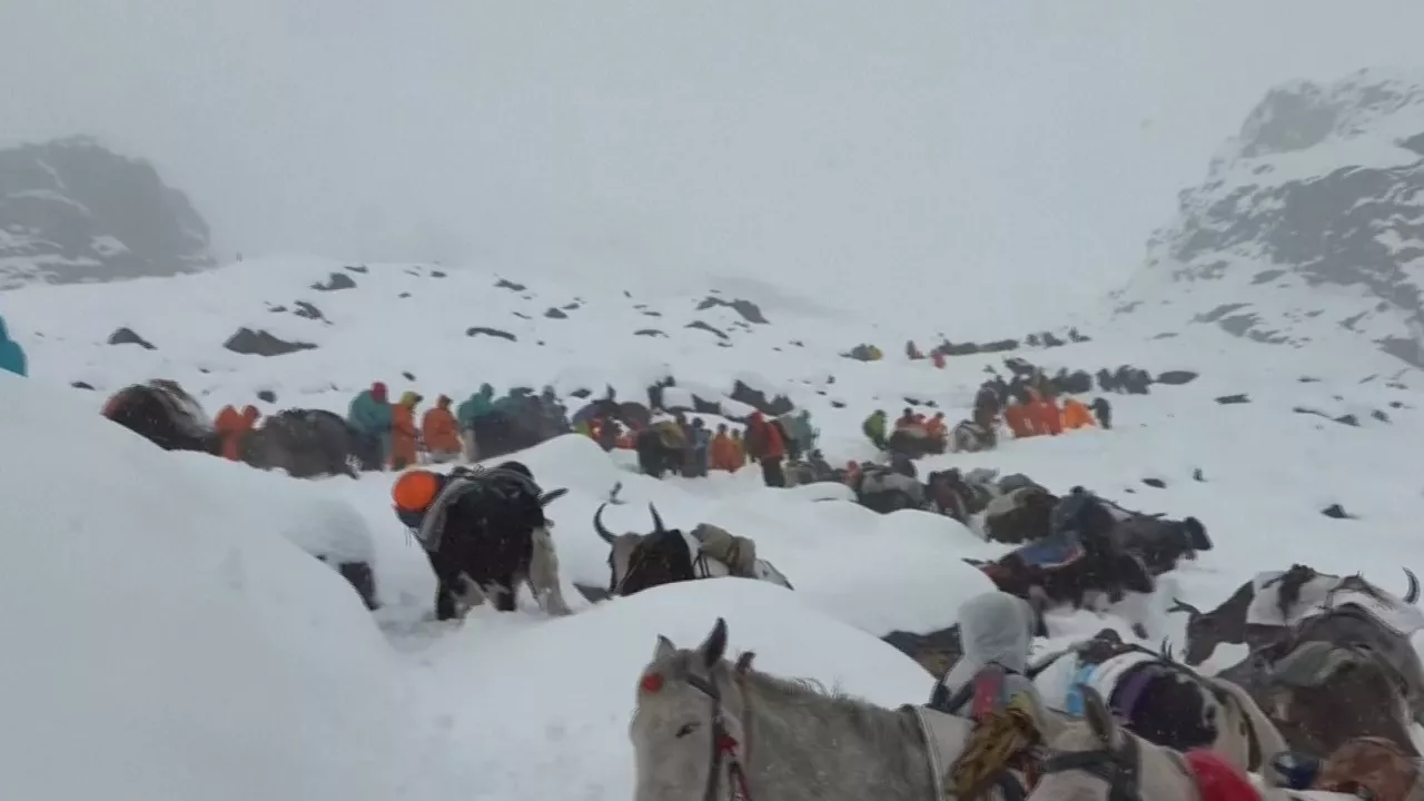 Unas 350 personas han sido ya rescatadas mientras continúan las operaciones de búsqueda en zonas de gran altitud, con rutas bloqueadas por varios metros de nieve. 
