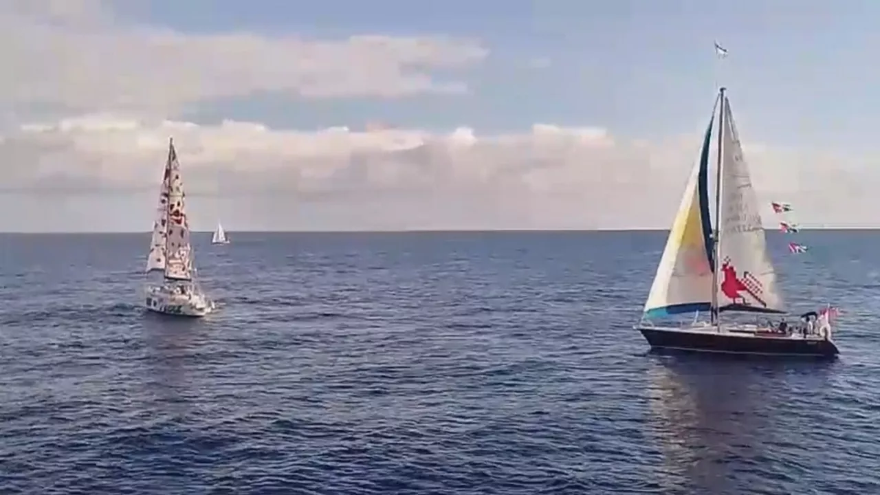 Flotilla de la libertad