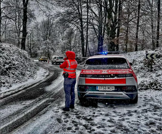 foruzaingoa elurra nafarroa