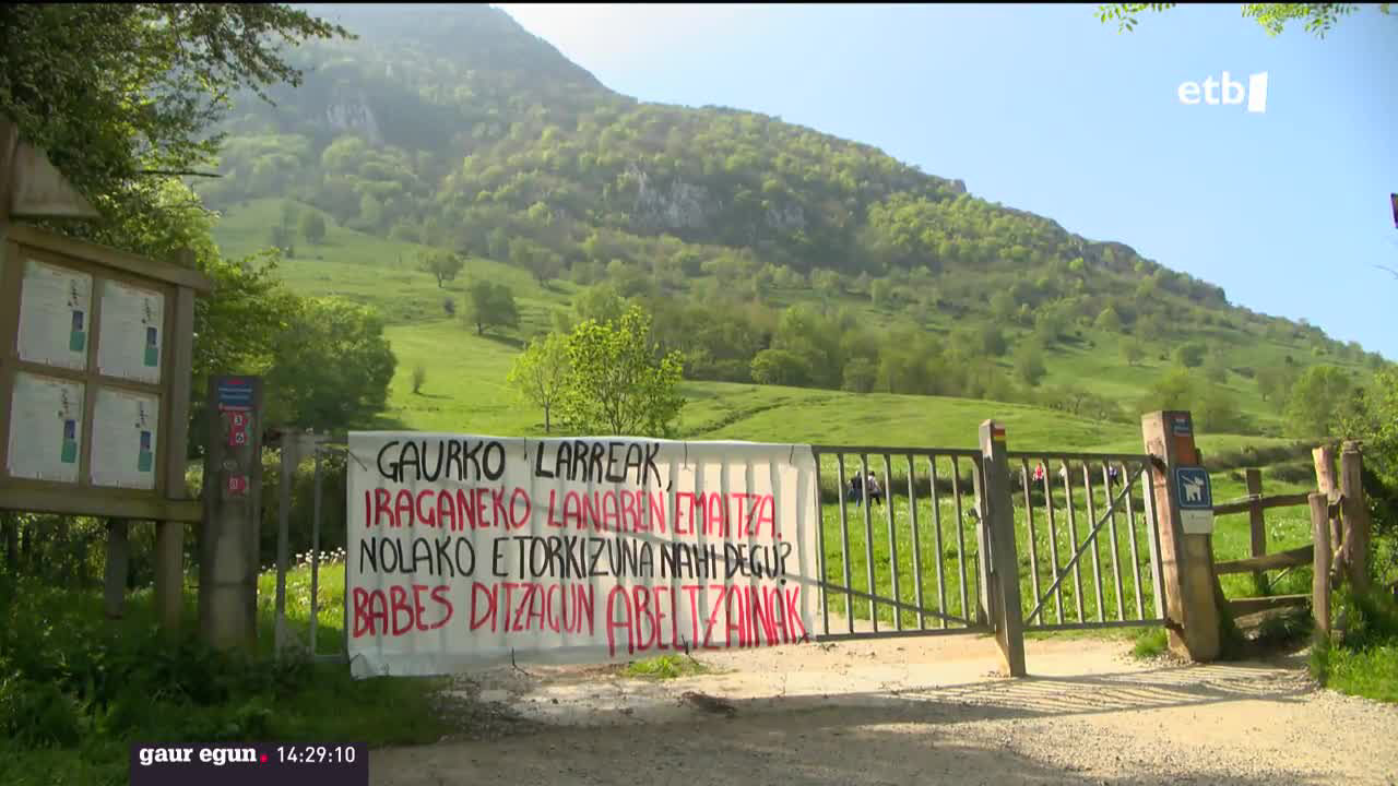 Maiatzaren lehena Aralarko larreen irekiera ospatzeko eguna ere bada, baina aurten ez da halakorik izan. Larraitzen, Abaltzisketa (Gipuzkoa), irekiera ofiziala egin behar zen, baina abeltzainek ez dute ganadurik eraman, diotenez, "ez dagoelako ezer ospatzeko".