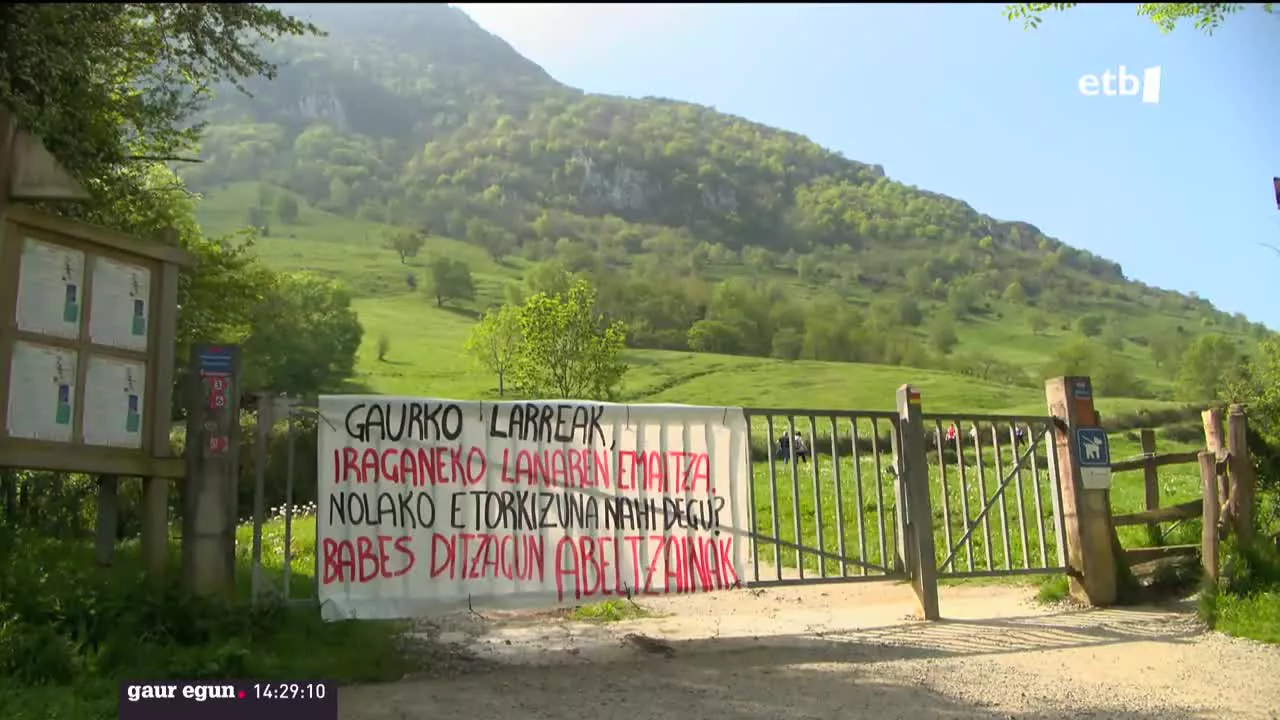Maiatzaren lehena Aralarko larreen irekiera ospatzeko eguna ere bada, baina aurten ez da halakorik izan. Larraitzen, Abaltzisketa (Gipuzkoa), irekiera ofiziala egin behar zen, baina abeltzainek ez dute ganadurik eraman, diotenez, "ez dagoelako ezer ospatzeko".
