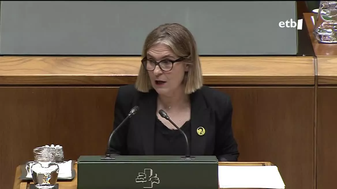 Nerea Kortajarena. Legebiltzarreko seinaletik ateratako irudia.