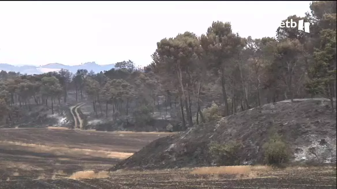Incencios en Navarra