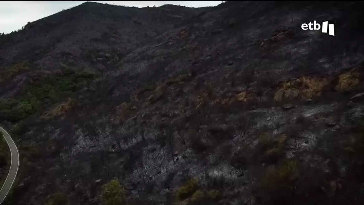 Incendios en Navarra