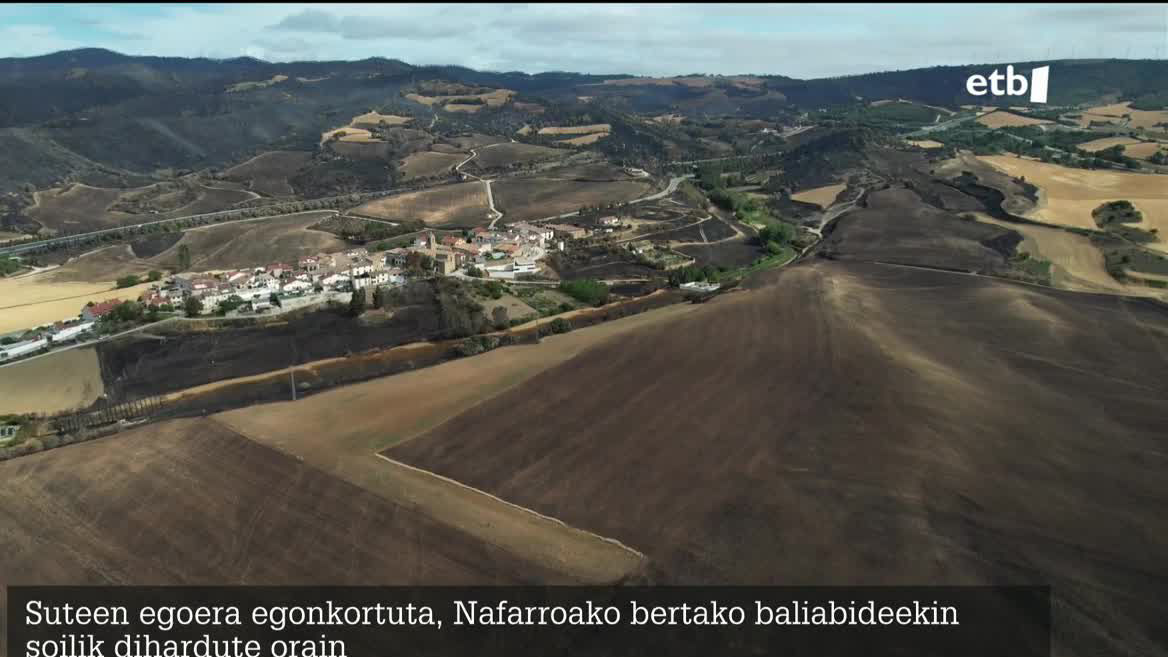 suteak nafarroan