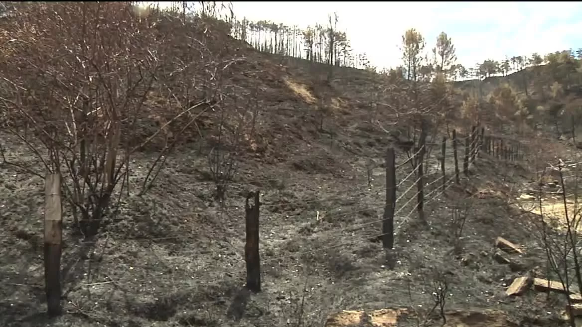 Nafarroako suteak piztu eta astebetera, sugarrek erretako inguruetara bueltatu gara foru gobernuko basozain batekin. Orain astebete, ordu honetan Legardan, Erreniegan hasiak ziren sugarrak inguruak kiskaltzen. Ikusi eta bizitakoa oso gogorra izan dela aitortu dute bertan.