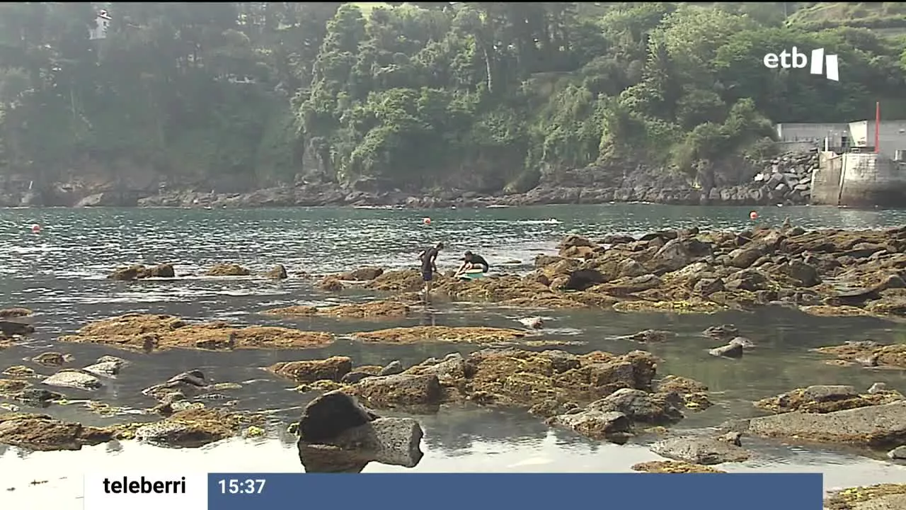 El año pasado se prohibió el baño en algunas playas de Iparralde y de Donostia porque esta alga se había reproducido en exceso y varios bañistas se quejaron de irritaciones en la piel. Uno de los factores clave es la subida de la temperatura del agua.