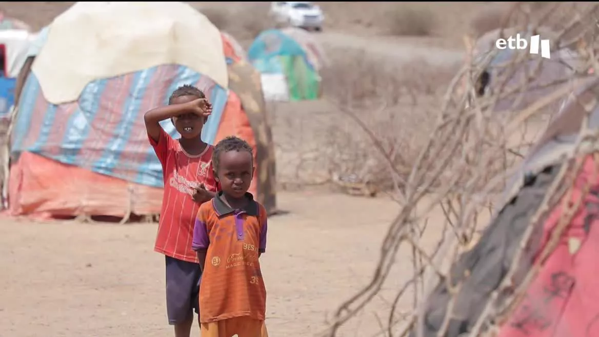 Una de las cuestiones que está sobre la mesa en la reunión del G7, y que lo estará en la de la OTAN, es la hambruna agudizada por la guerra de Ucrania. Se ha intensificado especialmente en África, por la dependencia que tienen los países africanos del trigo que importan de los dos países en guerra.