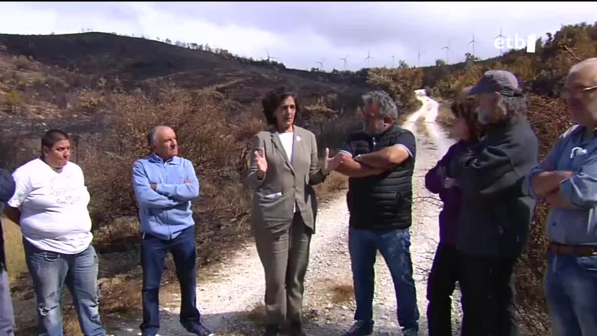 Nafarroako suteak