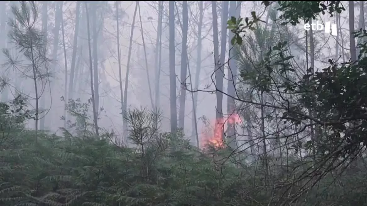 Los bomberos siguen con las labores de extinción. Han conseguido que las llamas no se extiendan, pero las malas condiciones meteorológicas están dificultando la tarea.