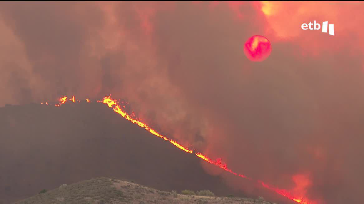 Se trata de los fuegos que se registran en Tábara, en Almaraz de Duero, en Cebreros, en Folgoso de Caurel, y en Ateca. Las y los bomberos luchan contra las llamas y tratan de que queden bajo control.