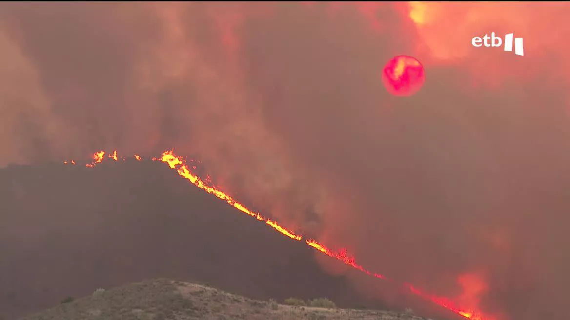 Se trata de los fuegos que se registran en Tábara, en Almaraz de Duero, en Cebreros, en Folgoso de Caurel, y en Ateca. Las y los bomberos luchan contra las llamas y tratan de que queden bajo control.